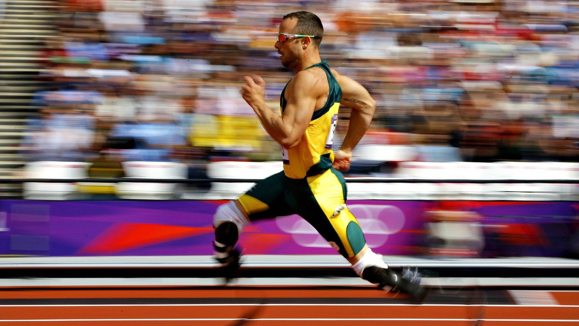 开云体育官网登入-_水上飞行秀：速度与优雅的运动展演_，水上飞项目